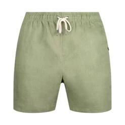 Linen Shorts Green